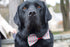 Green & Red Striped Bow Tie